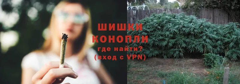 как найти закладки  Мирный  Бошки марихуана THC 21% 